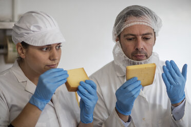 Arbeiter in einer Käsefabrik prüfen die Qualität des Käses - ZEF11041