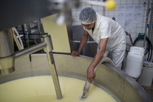Arbeiter in einer Käsefabrik kontrolliert den Gerinnungsprozess - ZEF11052