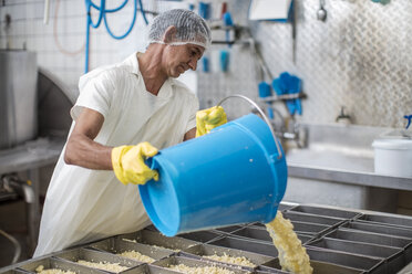 Arbeiter in einer Käsefabrik gießt Käsebruch in Behälter - ZEF11059