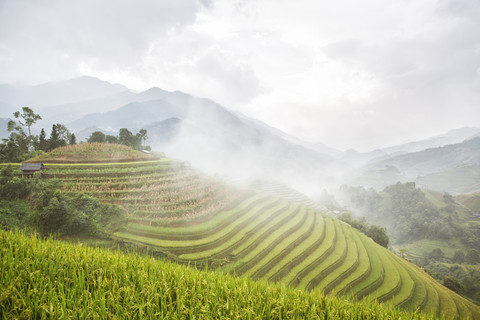 Vietnam, Mu Cang Chai, Reisterrassen, lizenzfreies Stockfoto