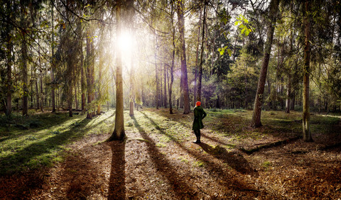 Rückenansicht einer Frau mit roter Mütze auf einer Waldlichtung, lizenzfreies Stockfoto