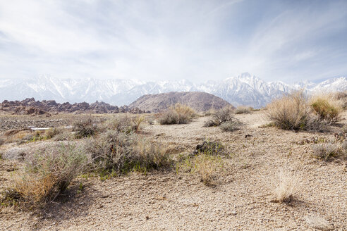 USA, California, steppe with snow-covered mountain in the background - BMAF00242