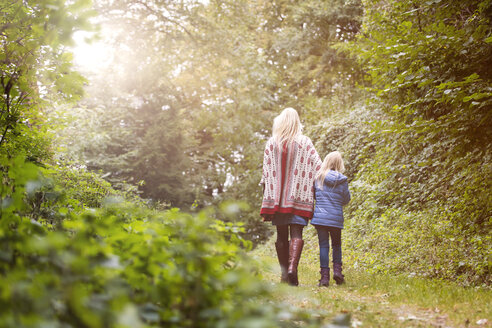 Rückenansicht von Mutter und kleiner Tochter beim Spaziergang im herbstlichen Wald - MIDF00813