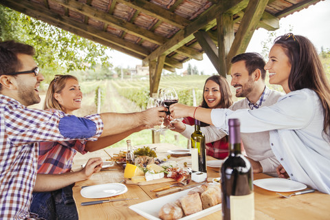 Freunde stoßen mit Rotweingläsern am Tisch im Weinberg an, lizenzfreies Stockfoto