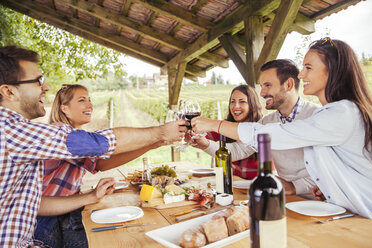Friends clinking red wine glasses at table in vineyard - ZEDF00380