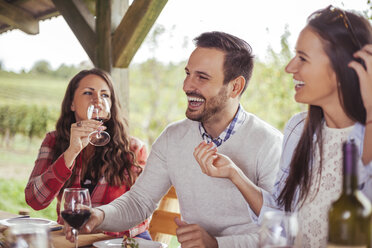Friends socializing at outdoor table with red wine - ZEDF00399