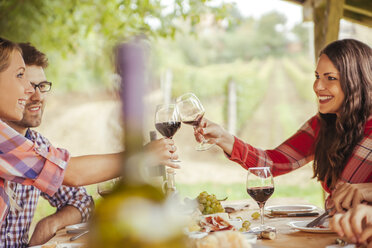 Friends clinking red wine glasses at table in vineyard - ZEDF00411