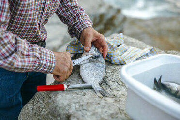 Senior man cutting fins of caught fish - DAPF00443