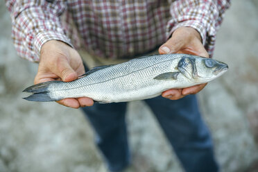 Senior man showing caught fish - DAPF00445
