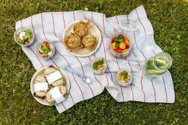 Picnic with vegetarian snacks on meadow - EVGF03104