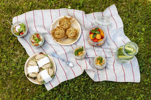 Picknick mit vegetarischen Snacks auf der Wiese - EVGF03104