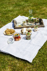 Picknick mit vegetarischen Snacks auf der Wiese - EVGF03105