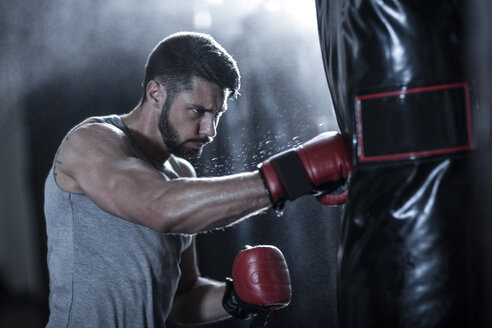 Boxer exercising with punch bag - ZEF11062