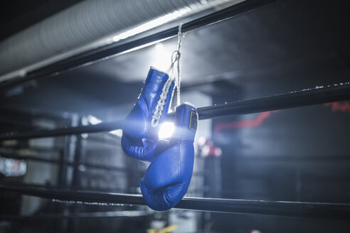 Boxing gloves hanging in boxing ring - ZEF11071