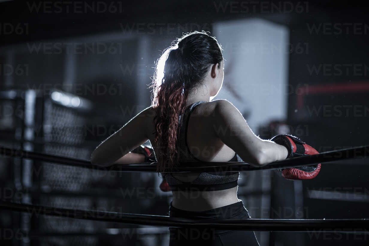 5,900+ Female Boxers In The Ring Stock Photos, Pictures & Royalty-Free  Images - iStock