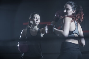 Two female boxers in ring in boxing gym - ZEF11078