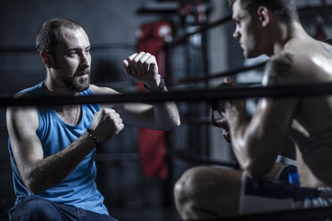 Trainer mit Boxer im Boxring - ZEF11083