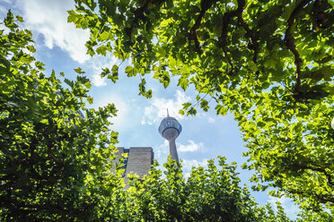 Germany, Duesseldorf, view to Rhine Tower through foliage - KRPF01935