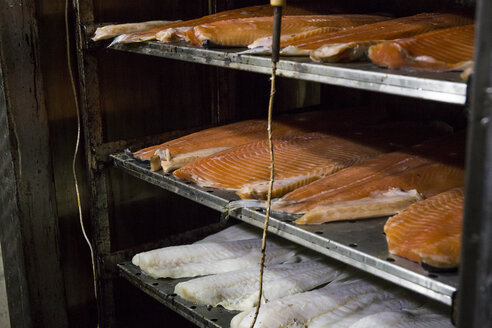 Lachs und andere Fische werden in der Räucherkammer gepökelt - ABZF01454