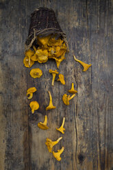 Chanterelles on dark wood - LVF05521