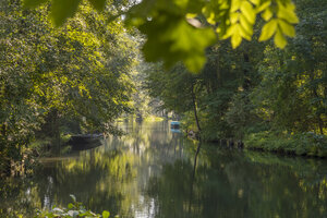 Deutschland, Spreewald, Spree zwischen Lehde und Lübbenau - FRF00482