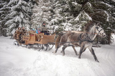 Eine Familie genießt eine Fahrt mit dem Pferdeschlitten im Winter - HHF05460
