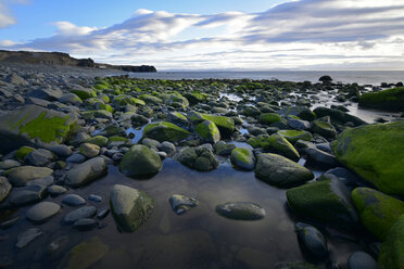 Iceland, coastal landscape in Northern Iceland - FDF00207