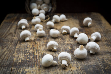 Organic champignons on dark wood - LVF05561