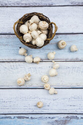 Wickerbasket of organic champignons on wood - LVF05565