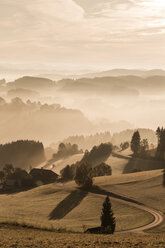 Austria, Muhlviertel, Autumnal landscape at sunrise - FCF01114