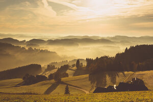 Österreich, Mühlviertel, Herbstliche Landschaft bei Sonnenaufgang - FCF01115