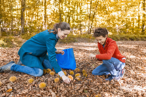 Mother and son collecting sweet chestnuts in the autumnal forest - DIGF01412