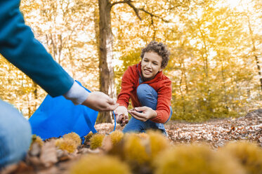 Mutter und Sohn beim Kastaniensammeln im herbstlichen Wald - DIGF01413