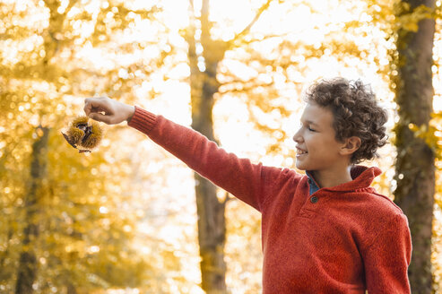 Lächelnder Junge mit Edelkastanie im herbstlichen Wald - DIGF01415