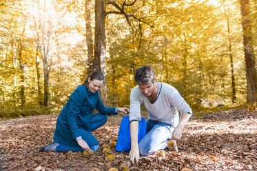Ehepaar sammelt Kastanien im herbstlichen Wald - DIGF01418