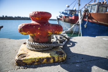 South Africa, Cape Town, Moored trawler in fishing harbour - ZEF11402