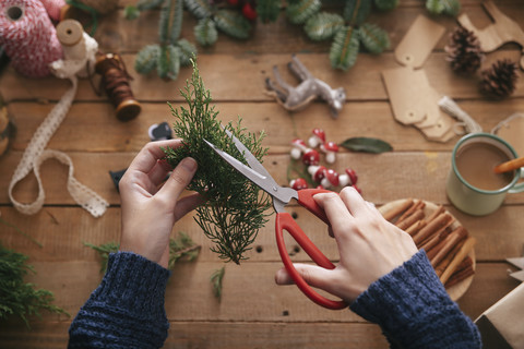 Frauenhände beim Schneiden von Zweigen zur Dekoration von Weihnachtsgeschenken, lizenzfreies Stockfoto