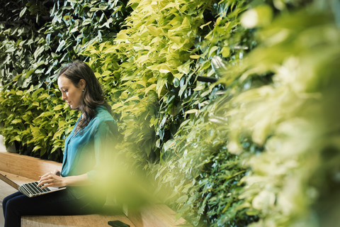 Young woman using laptop in front of green plant wall stock photo