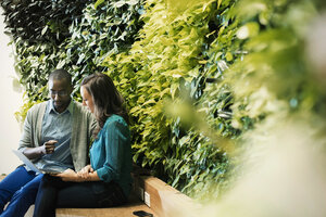 Businessman and woman sitting in front of green plant wall, using laptop - WESTF21906