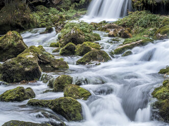 Österreich, Rossleithen, Piesslingbach - EJWF00805