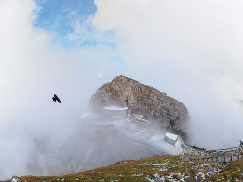 Schweiz, Emmentaler Alpen, Alpendohlen bei der Bergstation Pilatus-Kulm, lizenzfreies Stockfoto