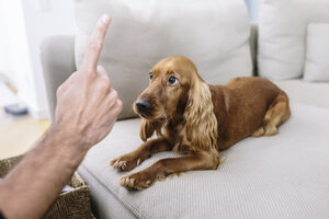 Mann lehrt Hund zu Hause - MADF01192