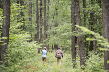 Rückansicht eines älteren Paares beim Spaziergang im Wald - HAPF01077