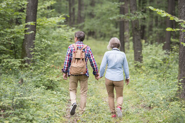 Rückansicht eines älteren Paares, das Hand in Hand im Wald spazieren geht - HAPF01079