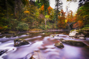 UK, Schottland, Dunkeld, Herbstbäume am Fluss Braan - SMAF00587