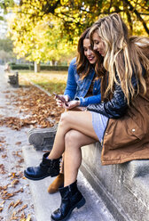 Zwei junge Frauen mit Smartphone in einem Park im Herbst - MGOF02592