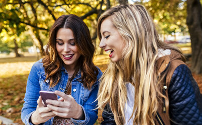 Two young women with smartphone in a park in autumn - MGOF02593