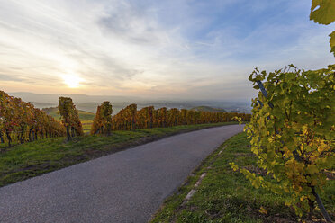 Deutschland, Baden-Württemberg, Michelbach, Weinberge am Abend - ALF00716