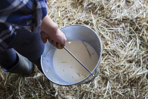 Woman carrying a bucket of milk on a farm - ABZF01521