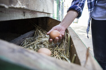 Frau sammelt Eier auf einem Bauernhof - ABZF01522
